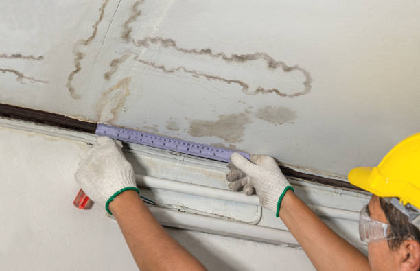 Reliable Water Damage Repair contractor in Bountiful, UT by Hirex Water Damage